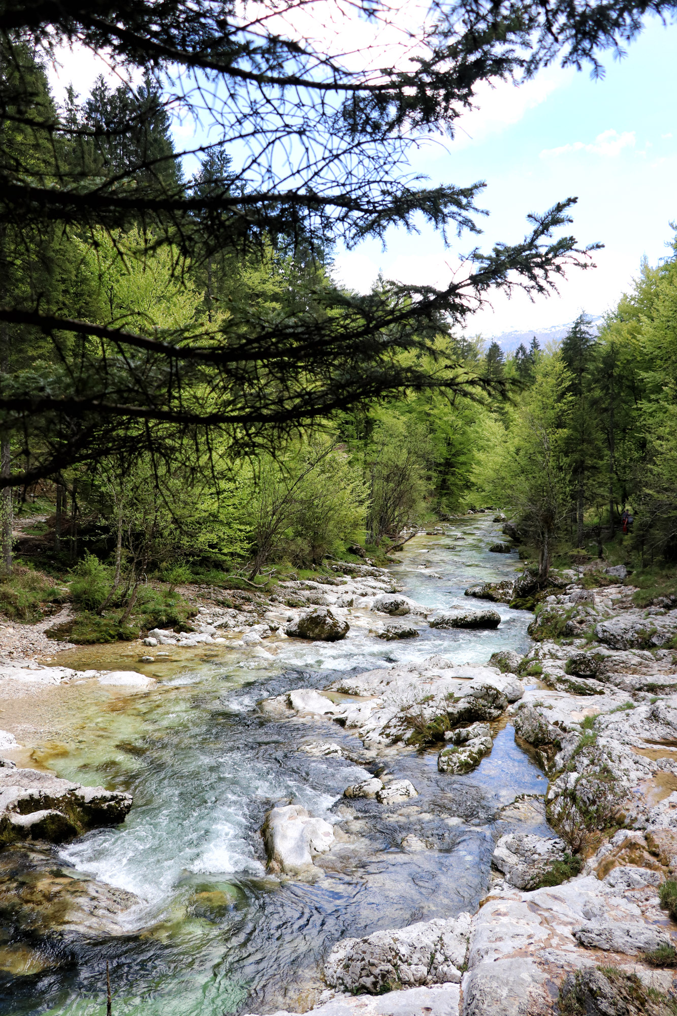 Wandelen in Bohinj, Slovenië