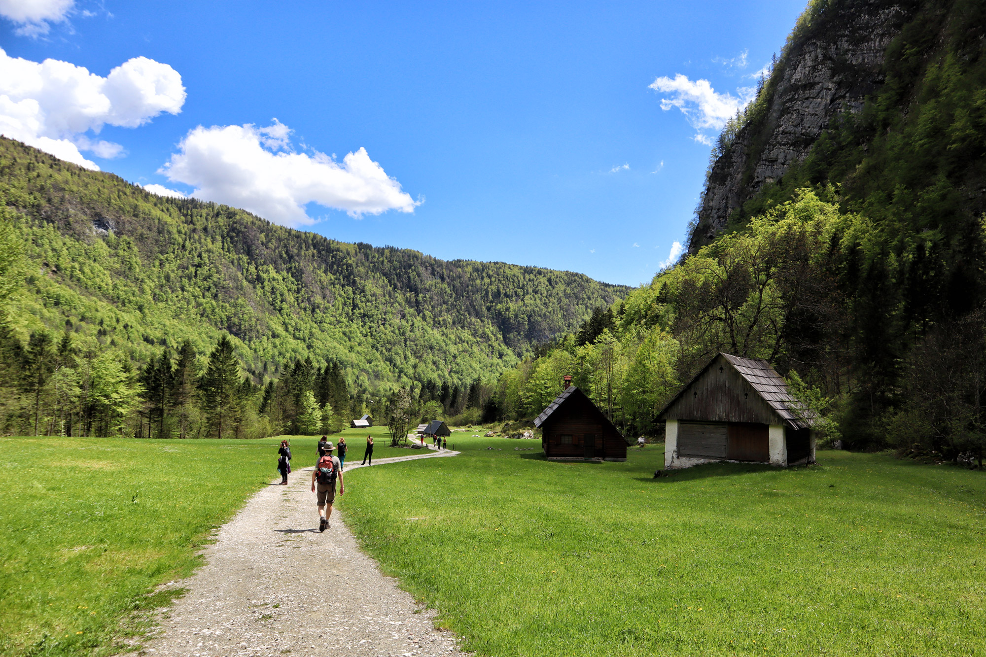 Wandelen in Bohinj, Slovenië