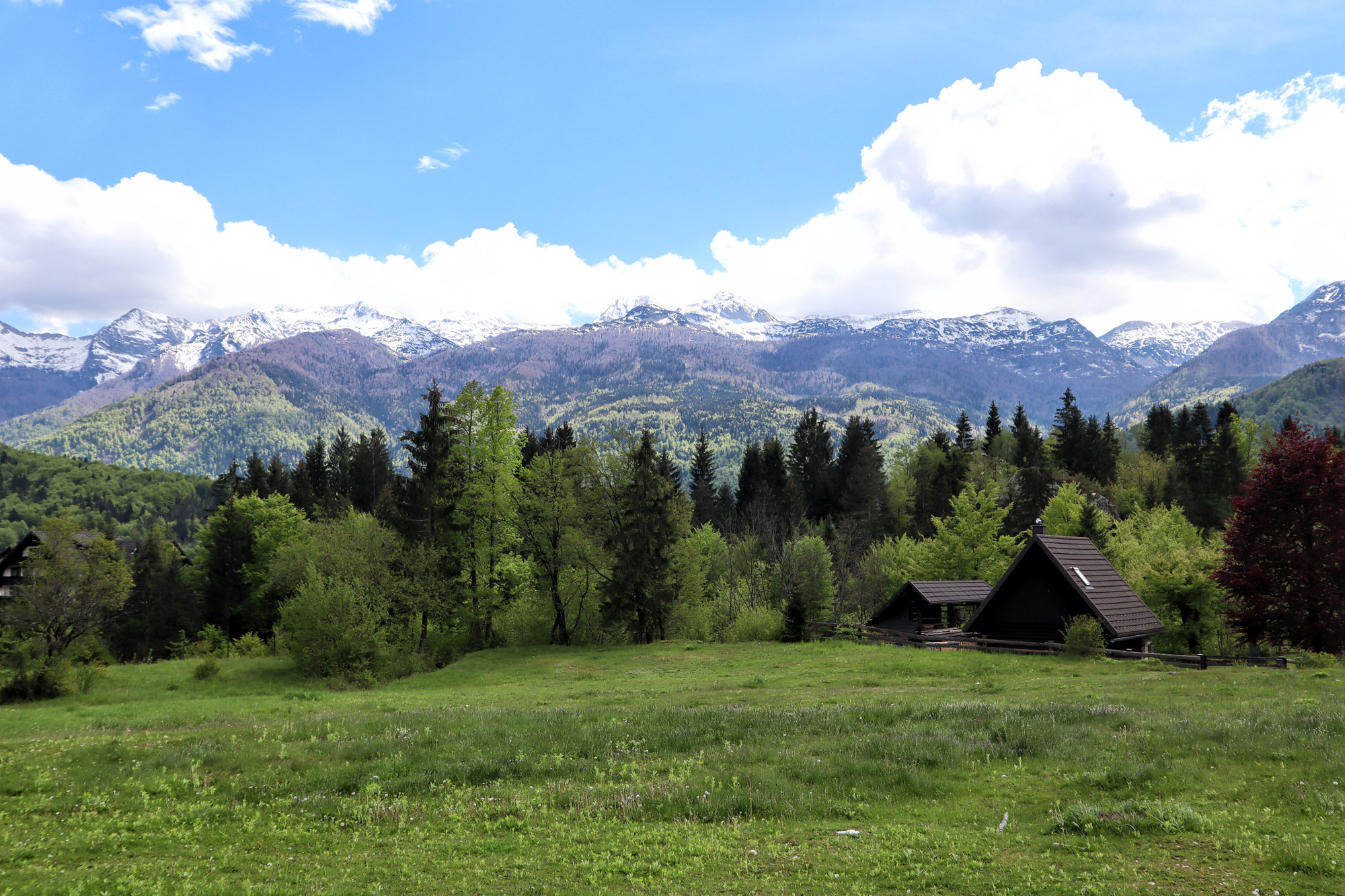 Wandelen in Bohinj, Slovenië