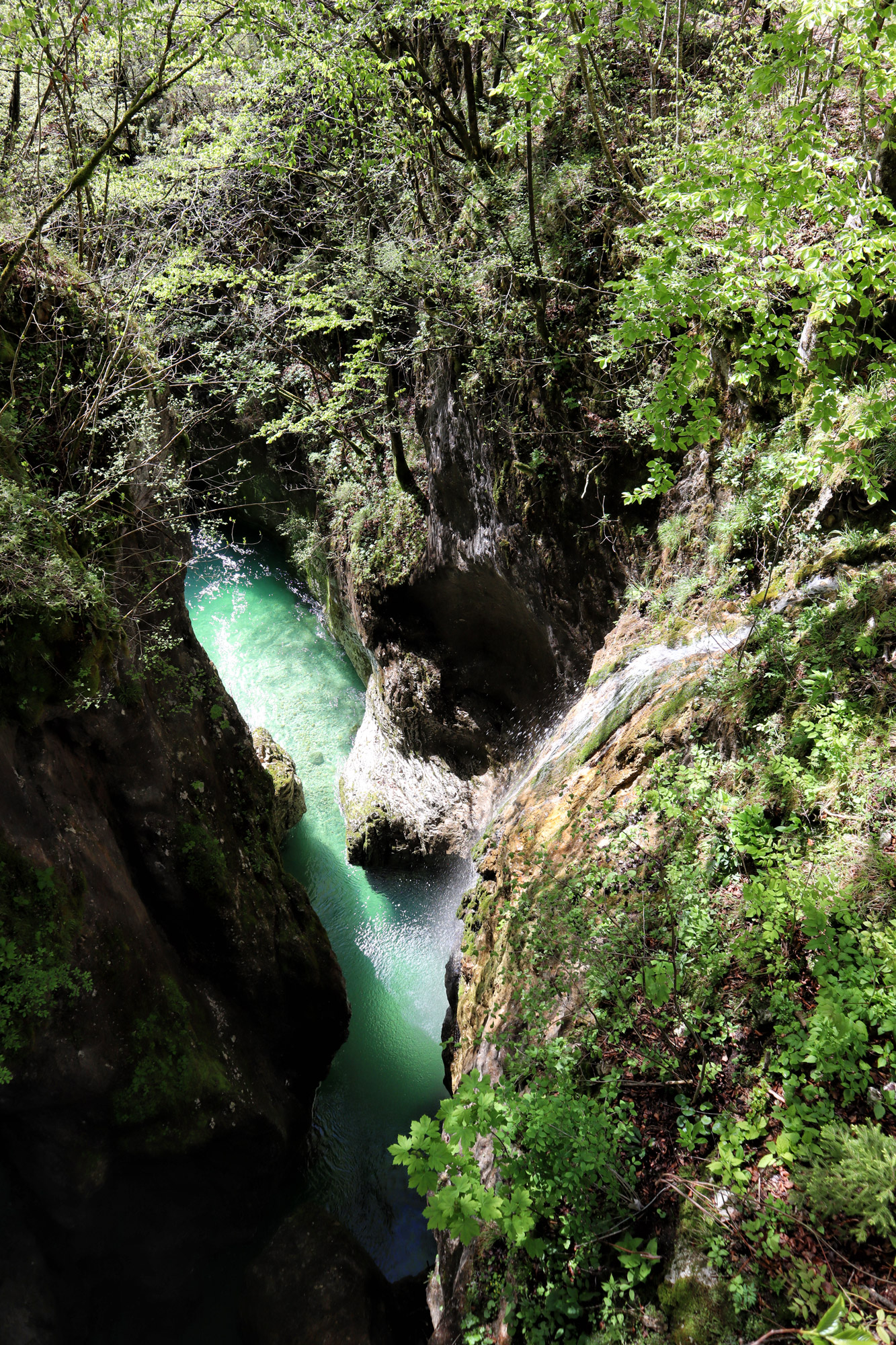 Wandelen in Bohinj, Slovenië