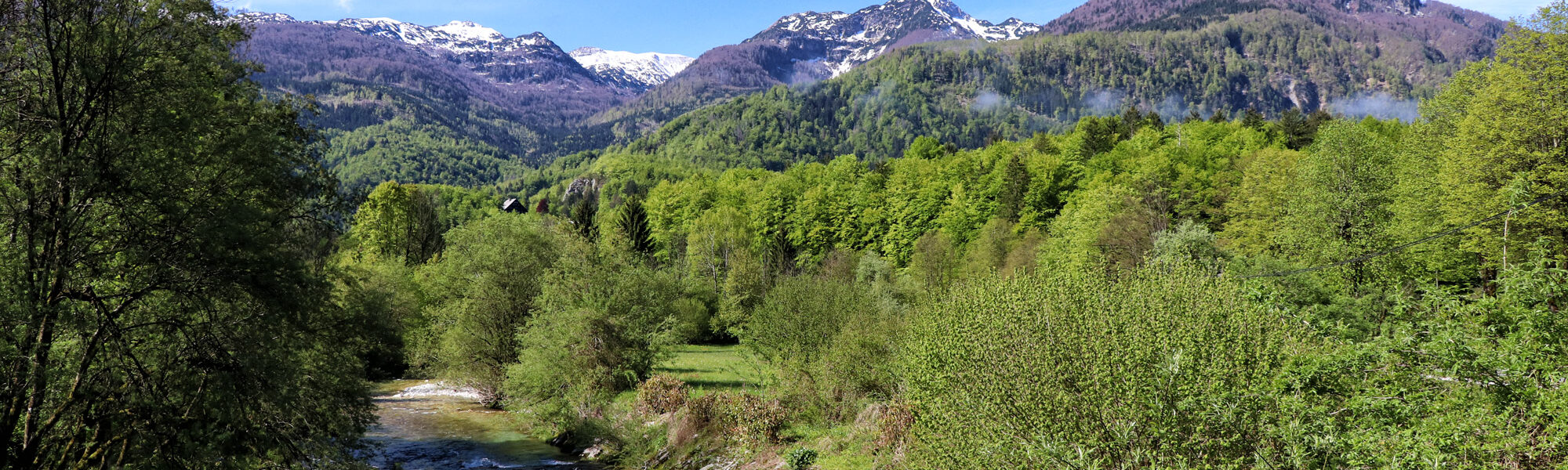 Wandelen in Bohinj, Slovenië