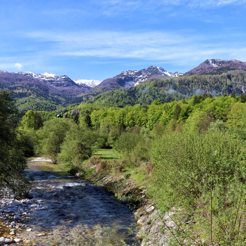 Wandelen in Bohinj, Slovenië
