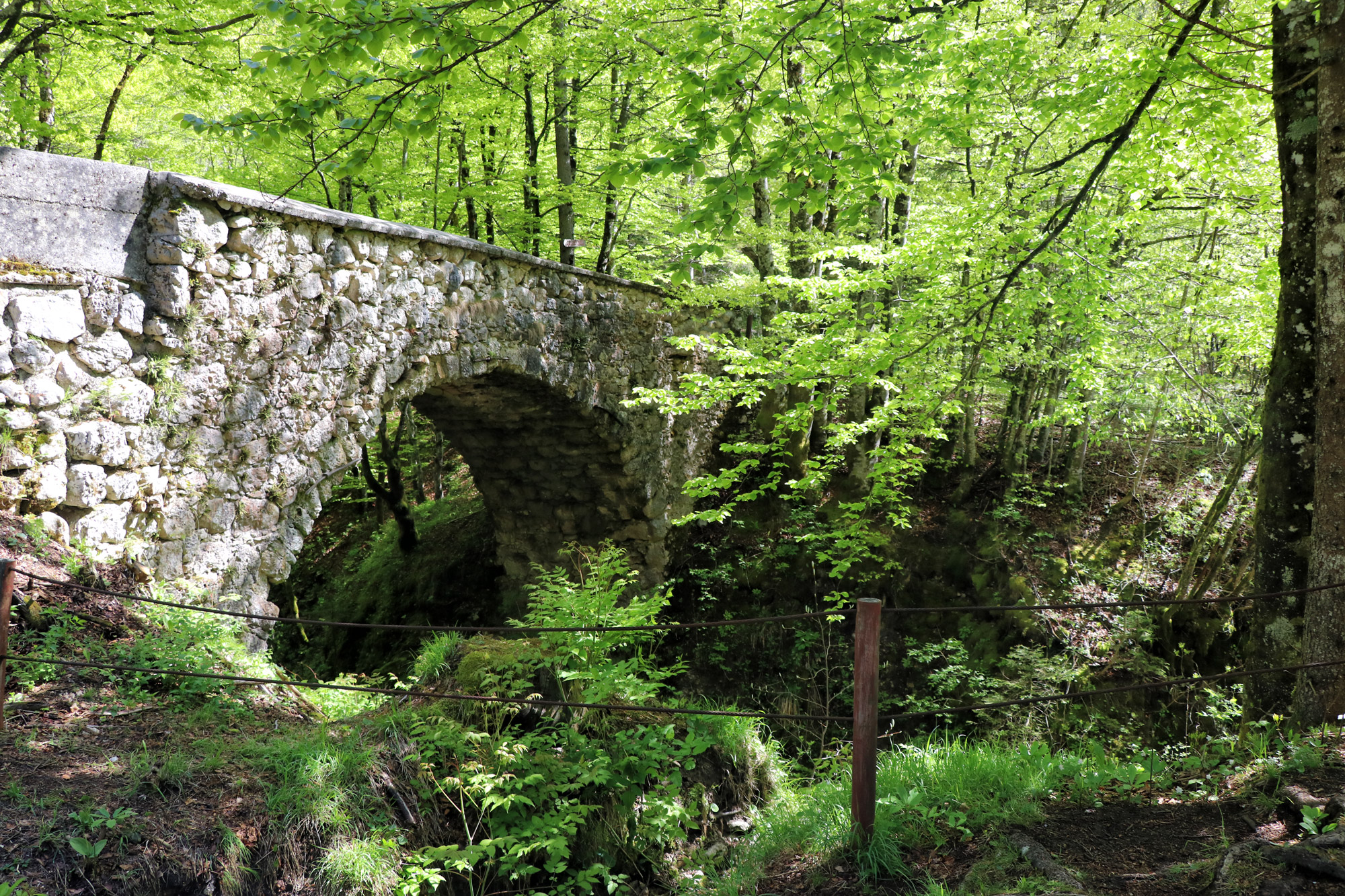 Wandelen in Bohinj, Slovenië