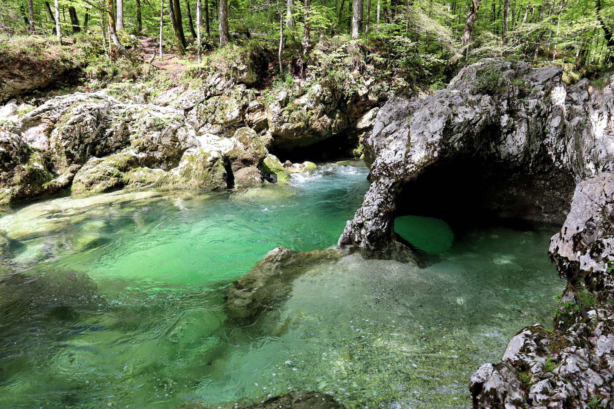 Wandelen in Bohinj, Slovenië