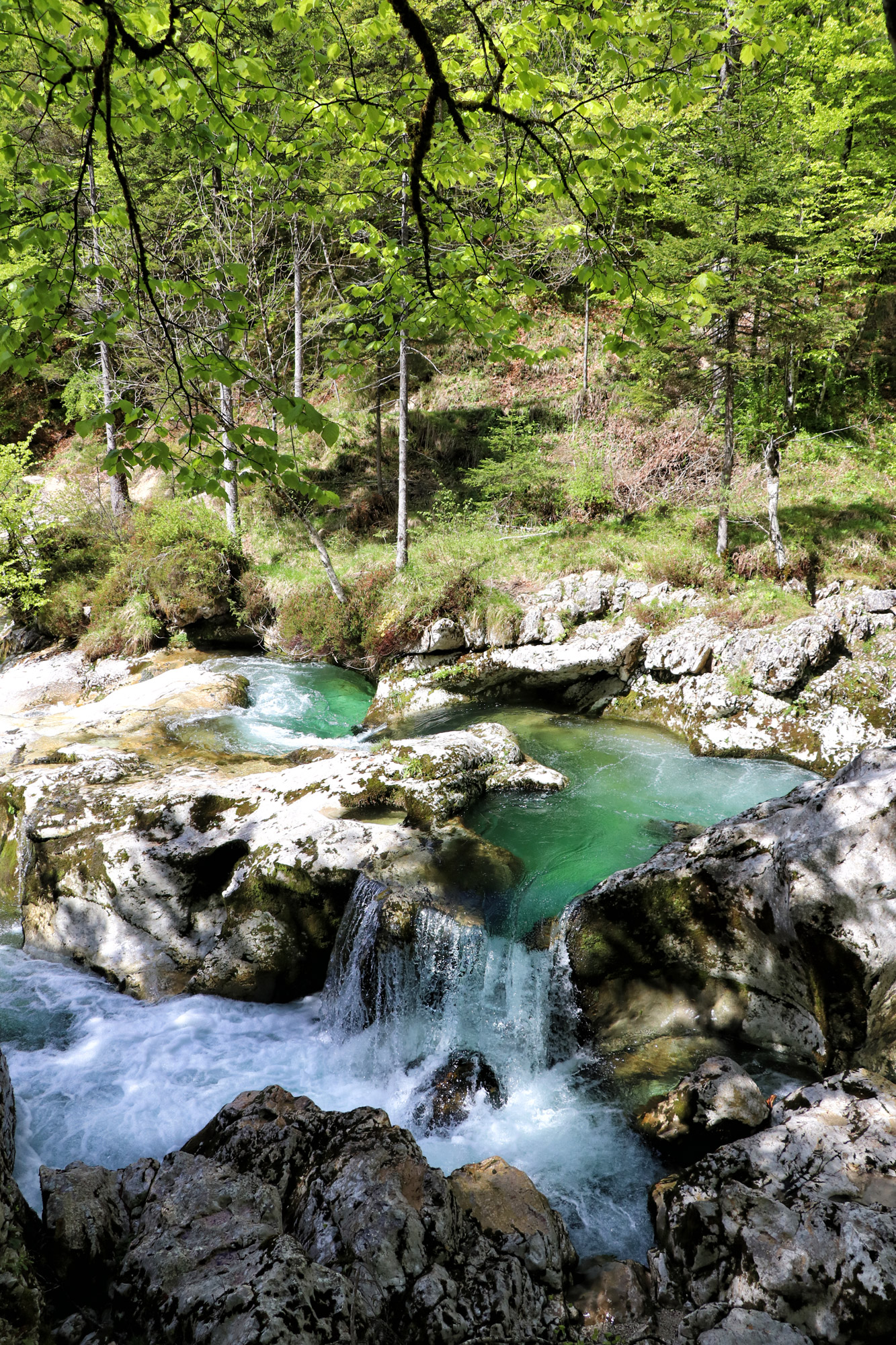 Wandelen in Bohinj, Slovenië