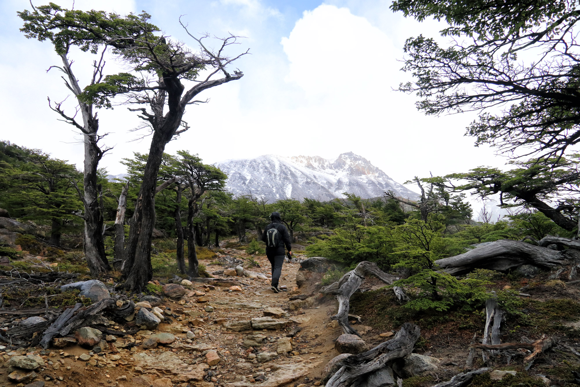 Wandeling: Laguna de los Tres - Argentinië