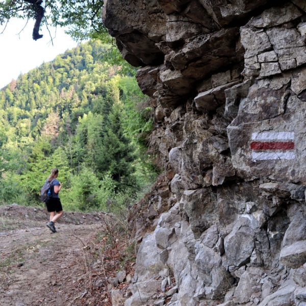 Georgie Reisverslag - Advanture Trail in Borjomi National Park