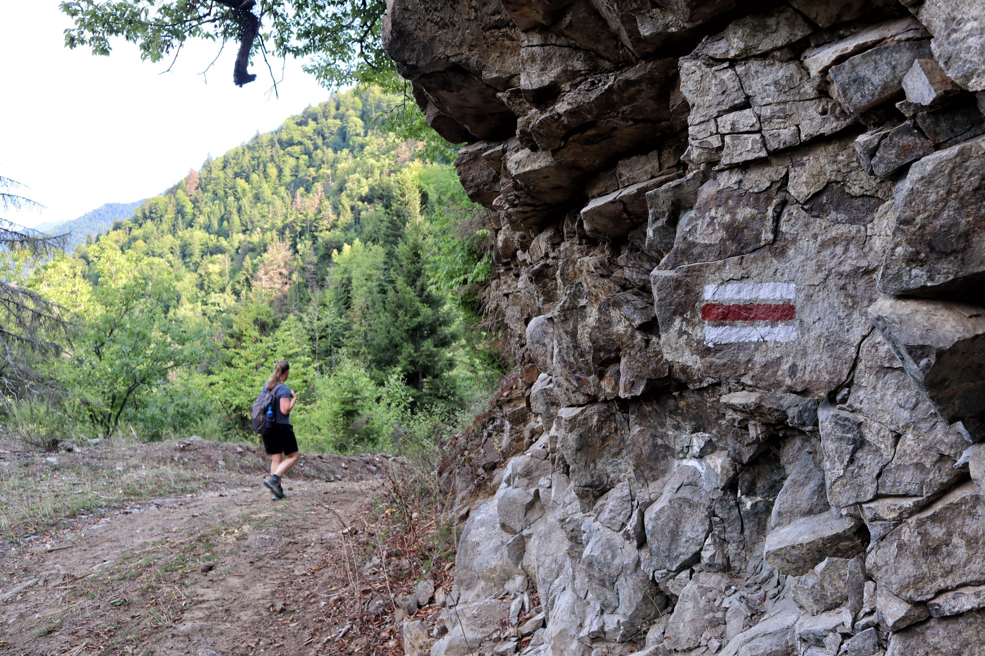 Georgie Reisverslag - Advanture Trail in Borjomi National Park