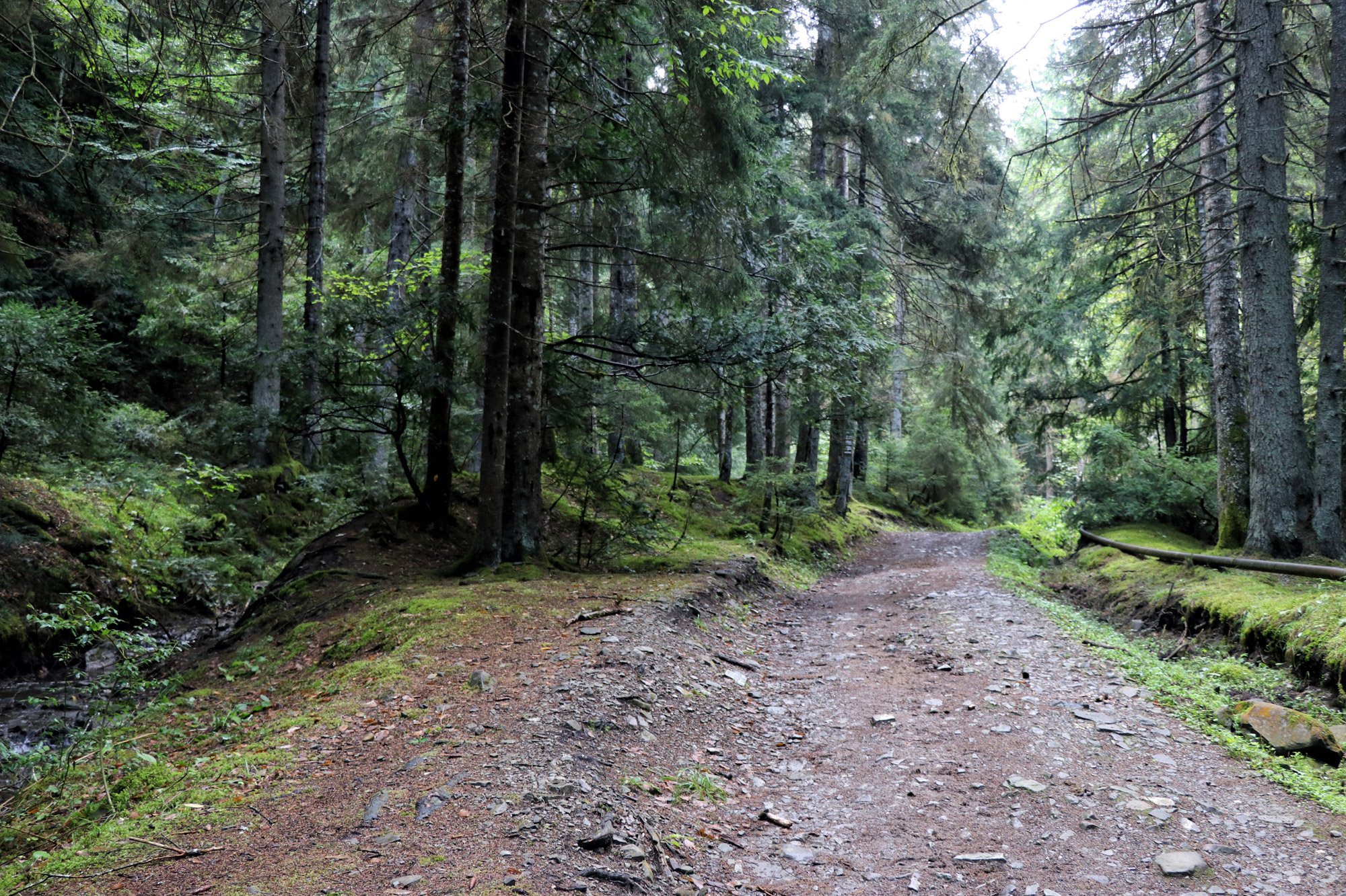 Georgie Reisverslag - Likani Valley Trail in Borjomi National Park