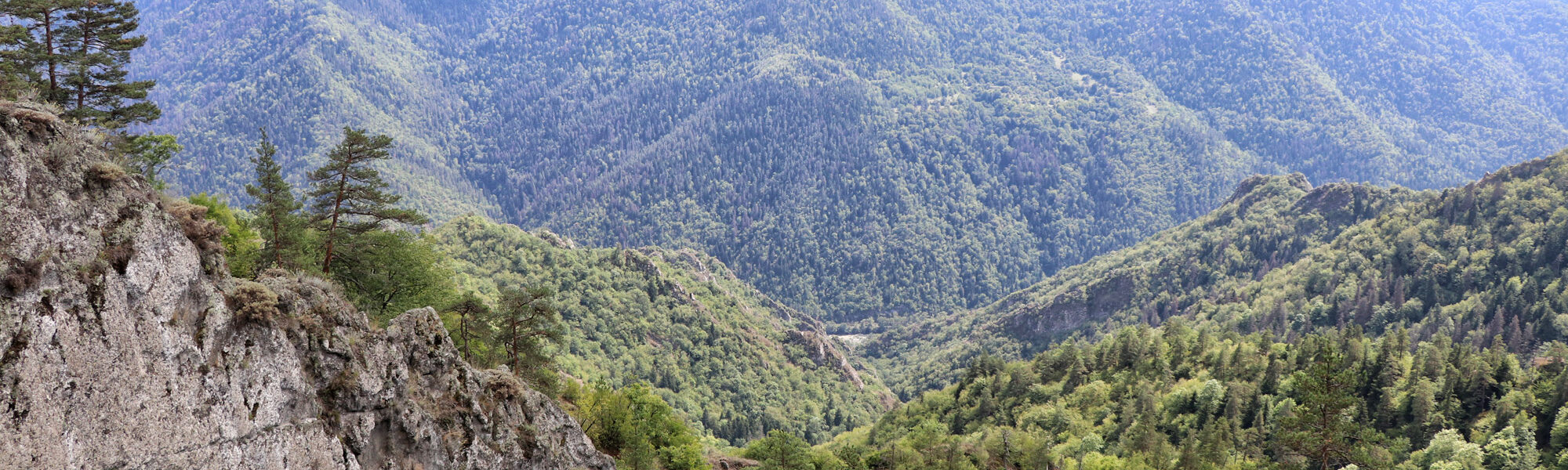 Georgie Reisverslag - Likani Valley Trail in Borjomi National Park