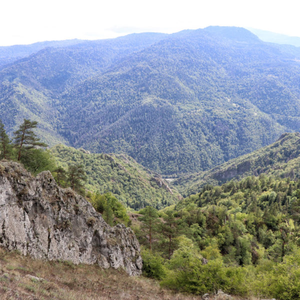 Georgie Reisverslag - Likani Valley Trail in Borjomi National Park