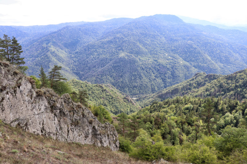 Georgie Reisverslag - Likani Valley Trail in Borjomi National Park