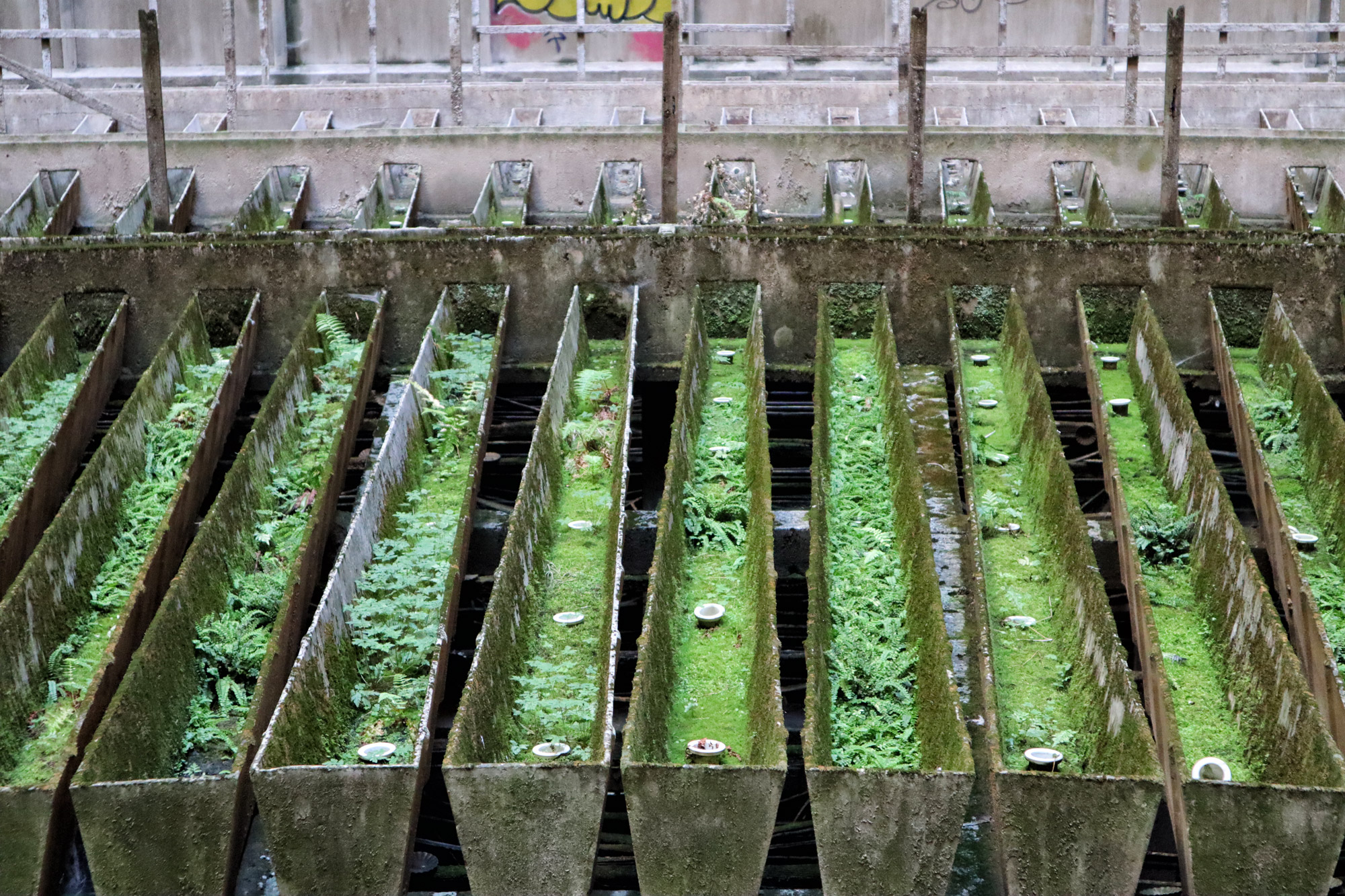 Urbex: IM Cooling Tower