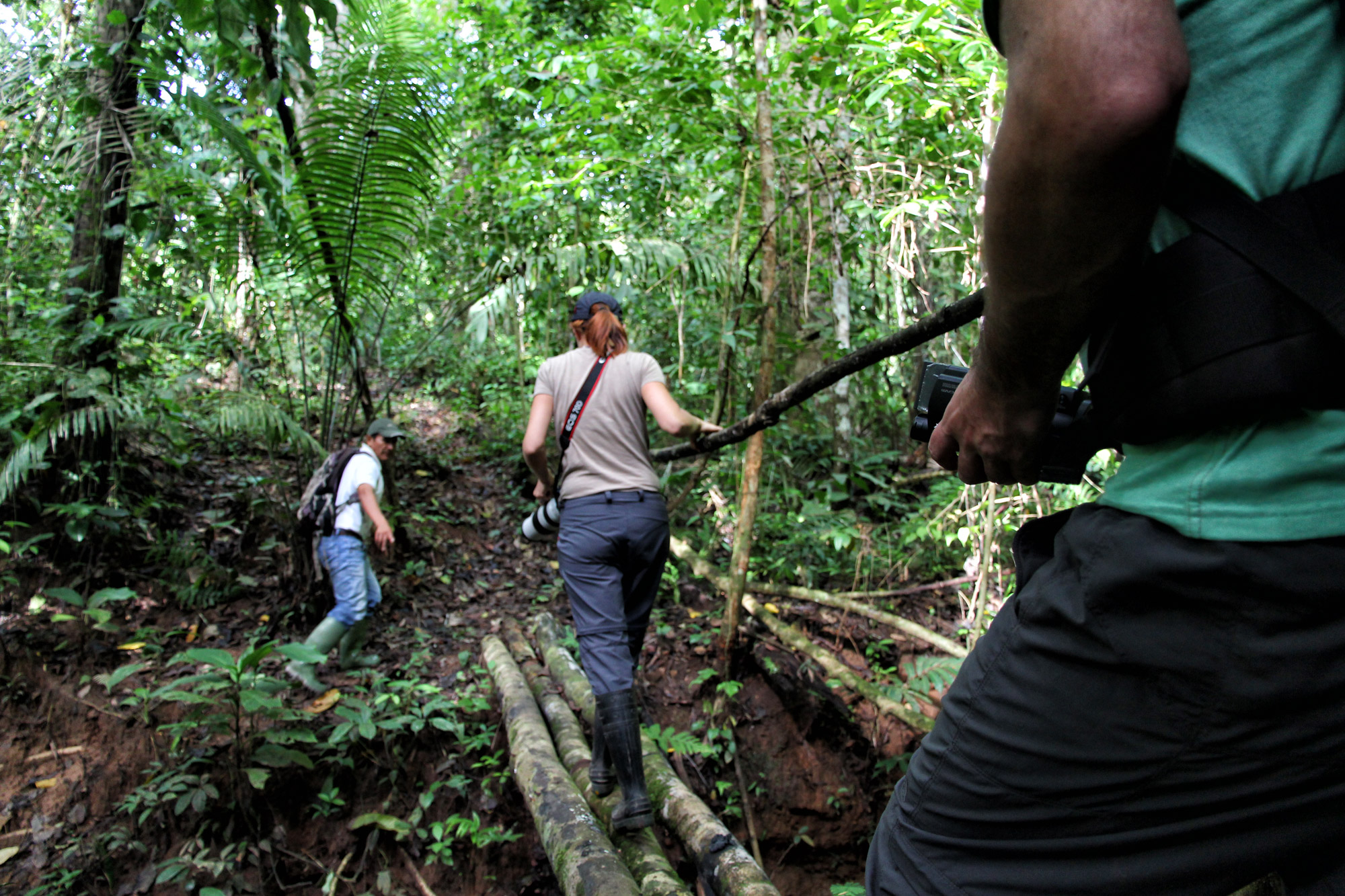 Parque Nacional Madidi - Bolivia