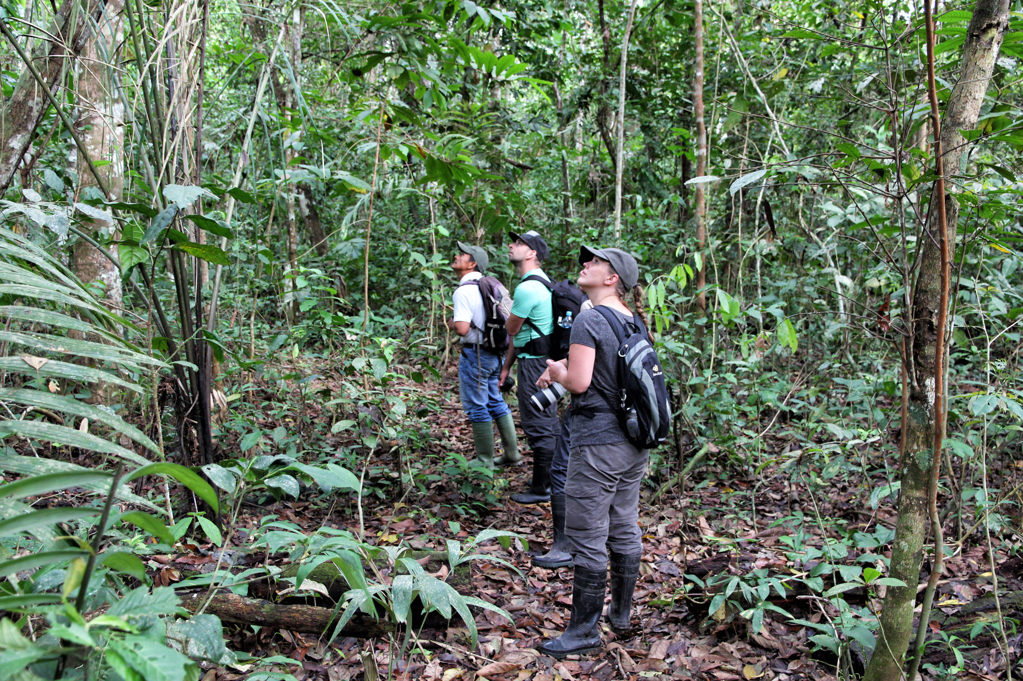 Parque Nacional Madidi - Bolivia