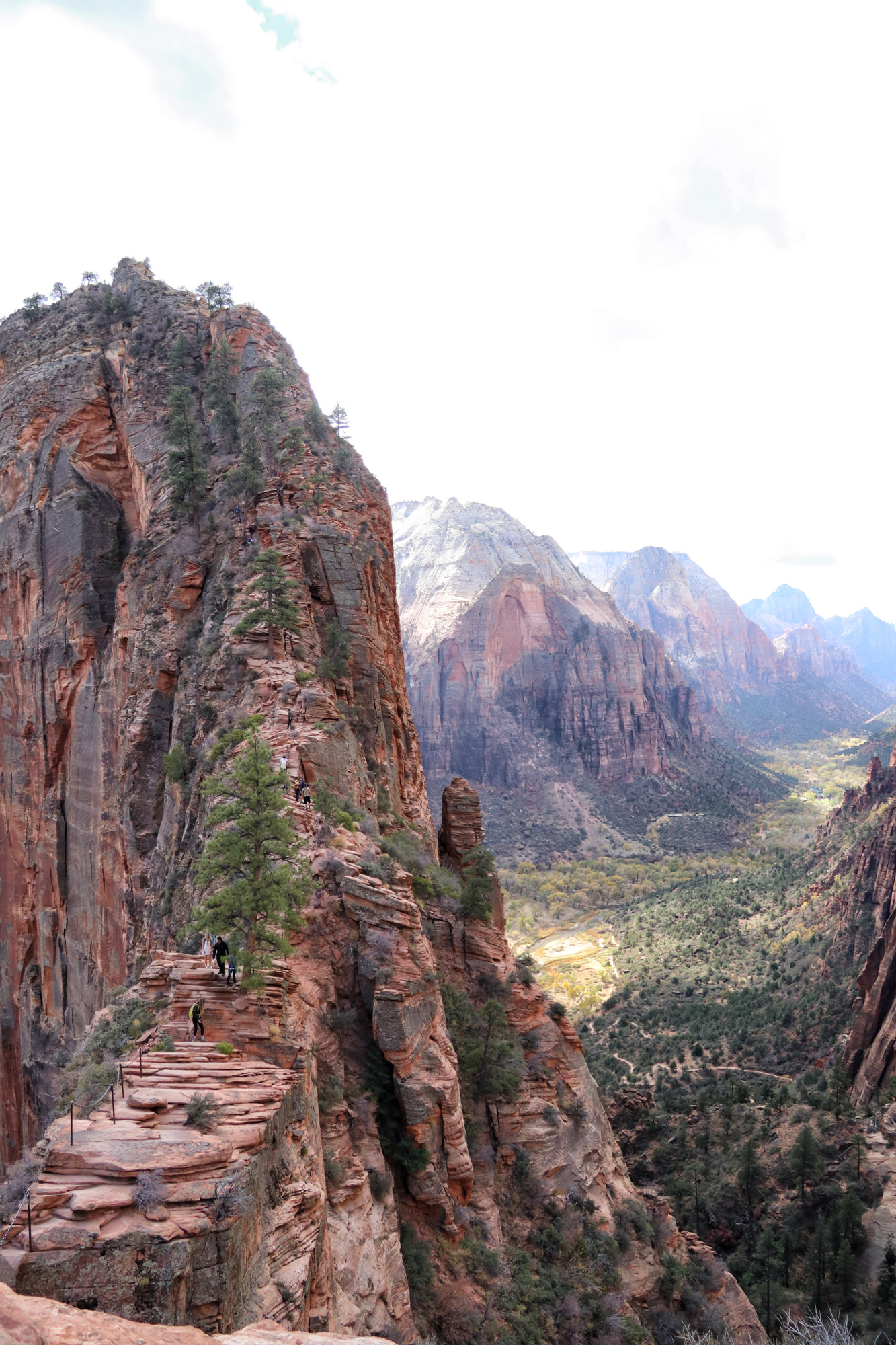 Wandeling: Angels Landing - Zion National Park