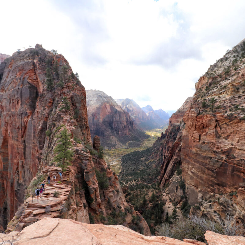 Wandeling: Angels Landing - Zion National Park