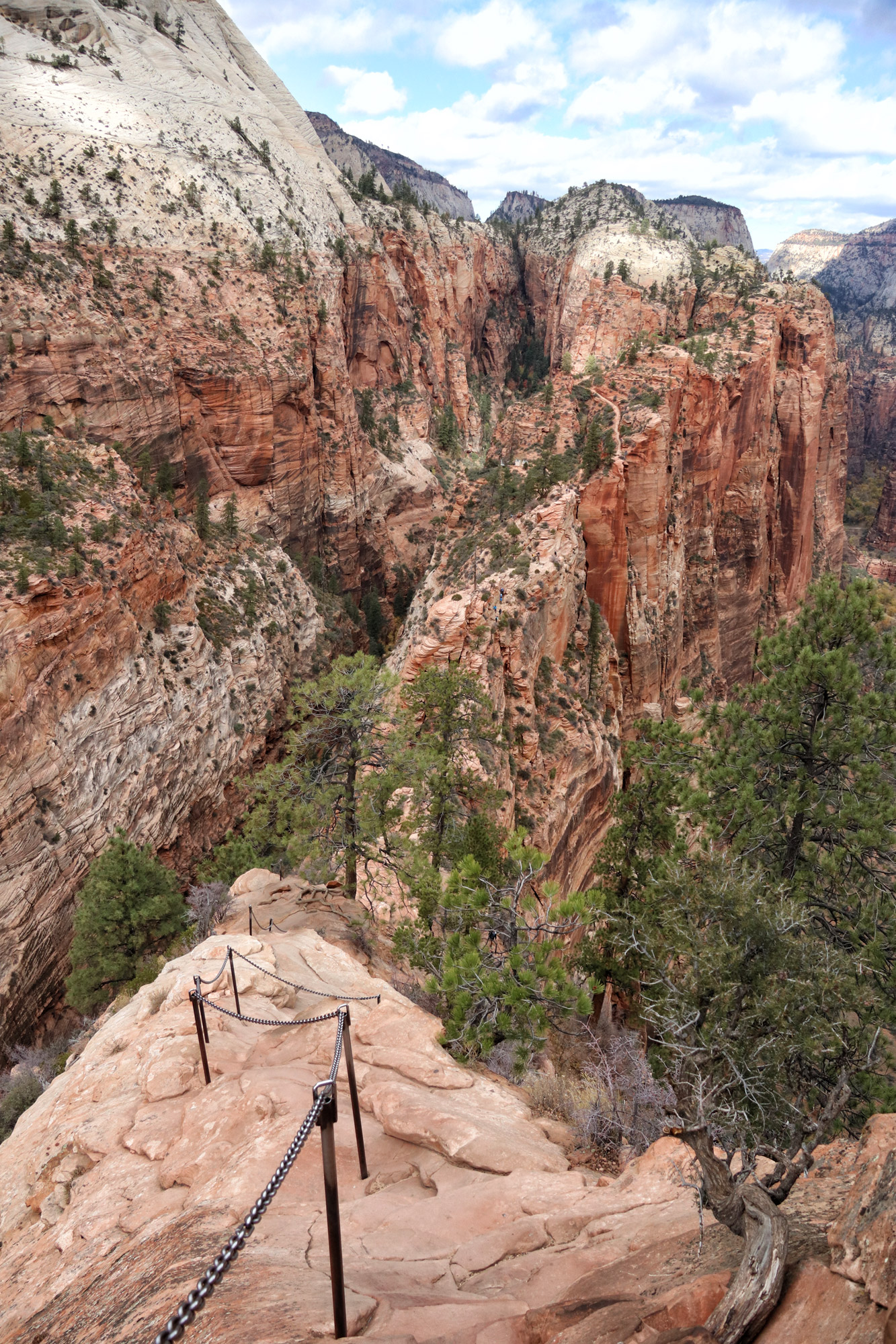 Wandeling: Angels Landing - Zion National Park