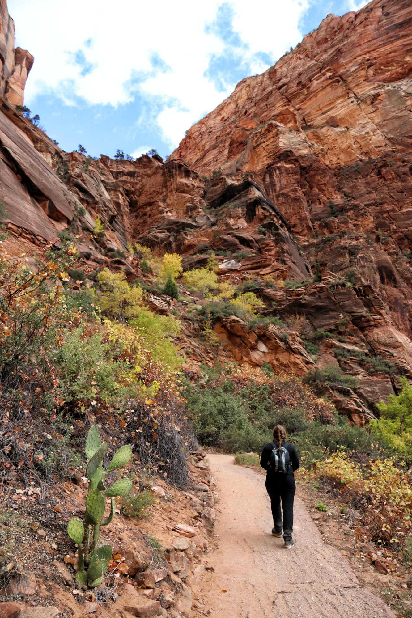 Wandeling: Angels Landing - Zion National Park