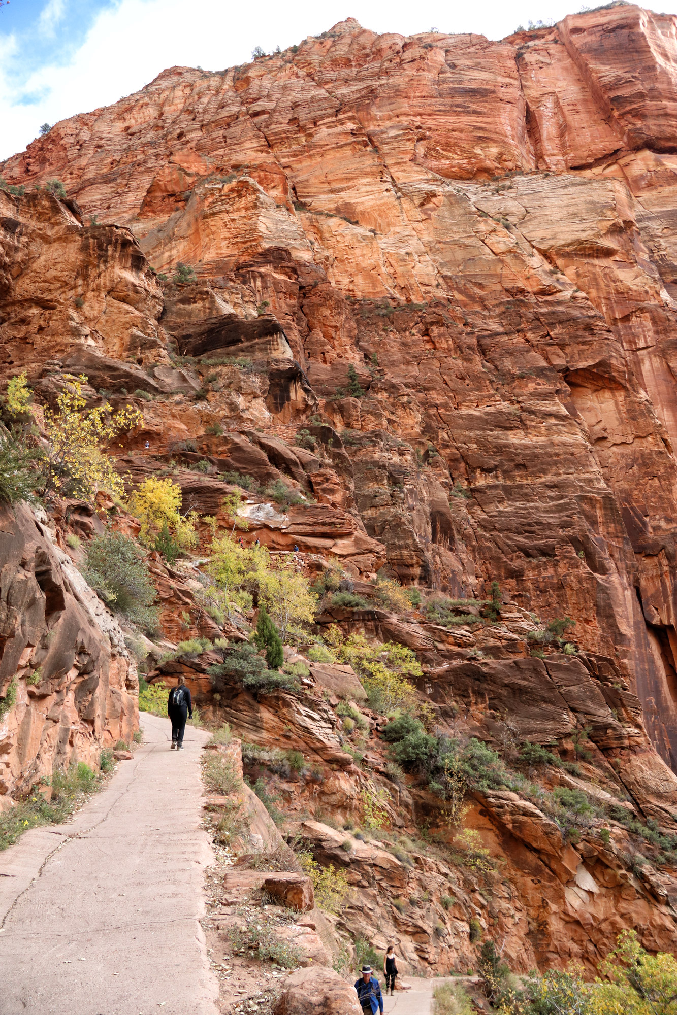 Wandeling: Angels Landing - Zion National Park
