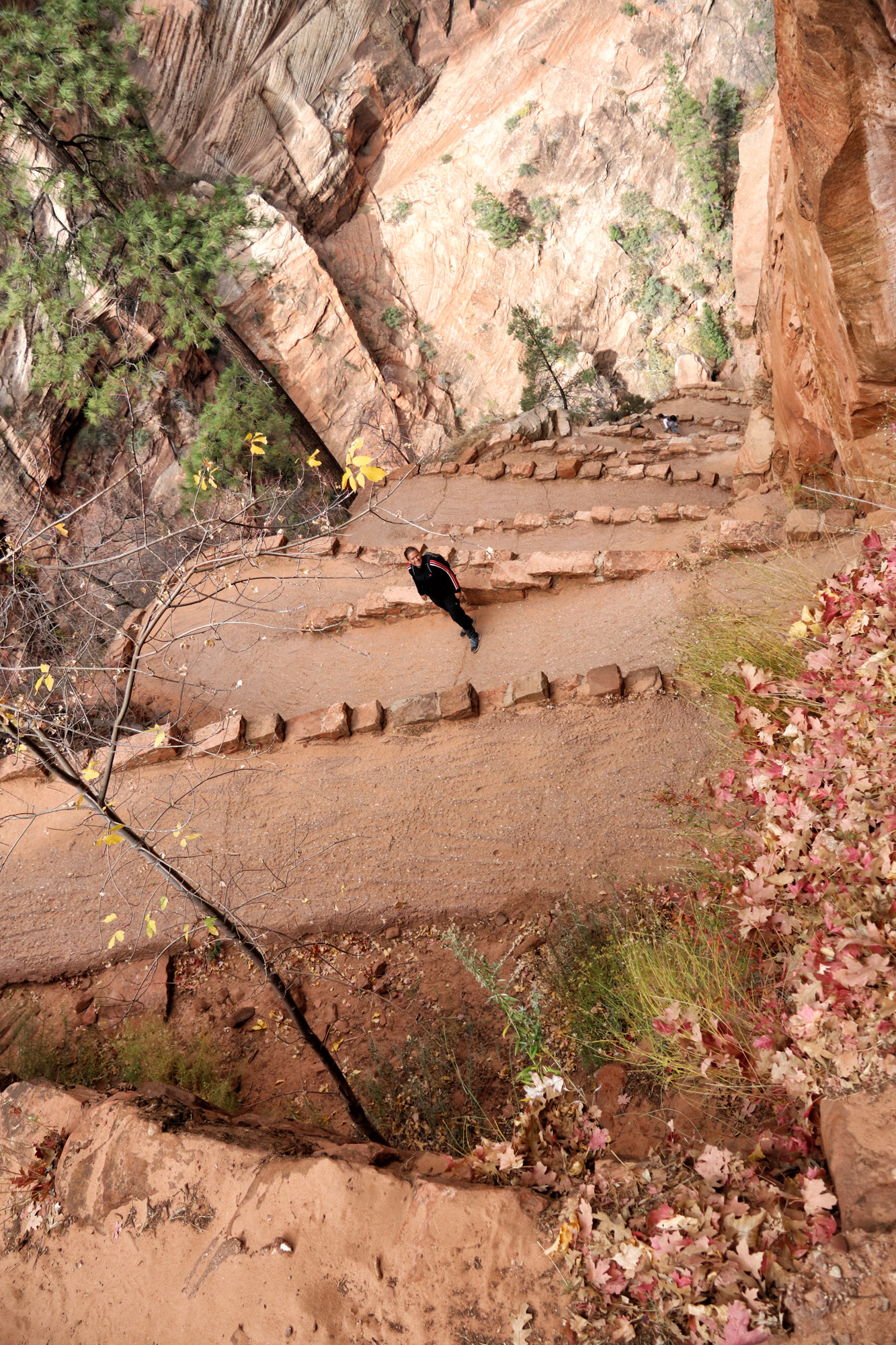 Wandeling: Angels Landing - Zion National Park