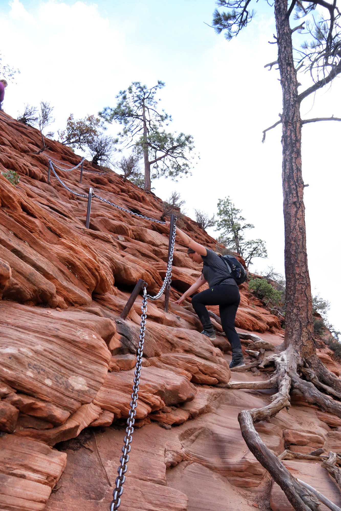 Wandeling: Angels Landing - Zion National Park