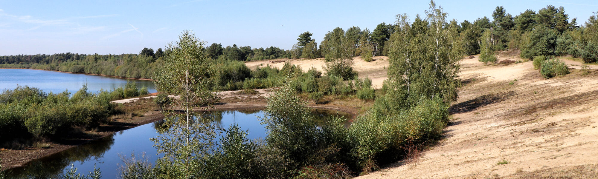 Een terugblik op reisjaar 2019 - Nationaal Park Maasduinen