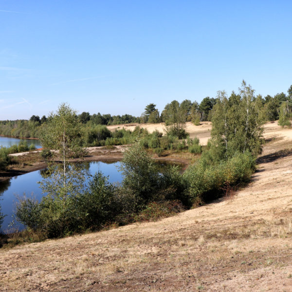 Een terugblik op reisjaar 2019 - Nationaal Park Maasduinen