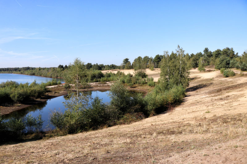 Een terugblik op reisjaar 2019 - Nationaal Park Maasduinen