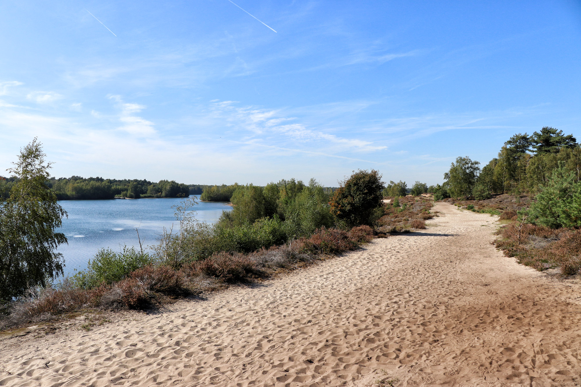 Een terugblik op reisjaar 2019 - Nationaal Park Maasduinen