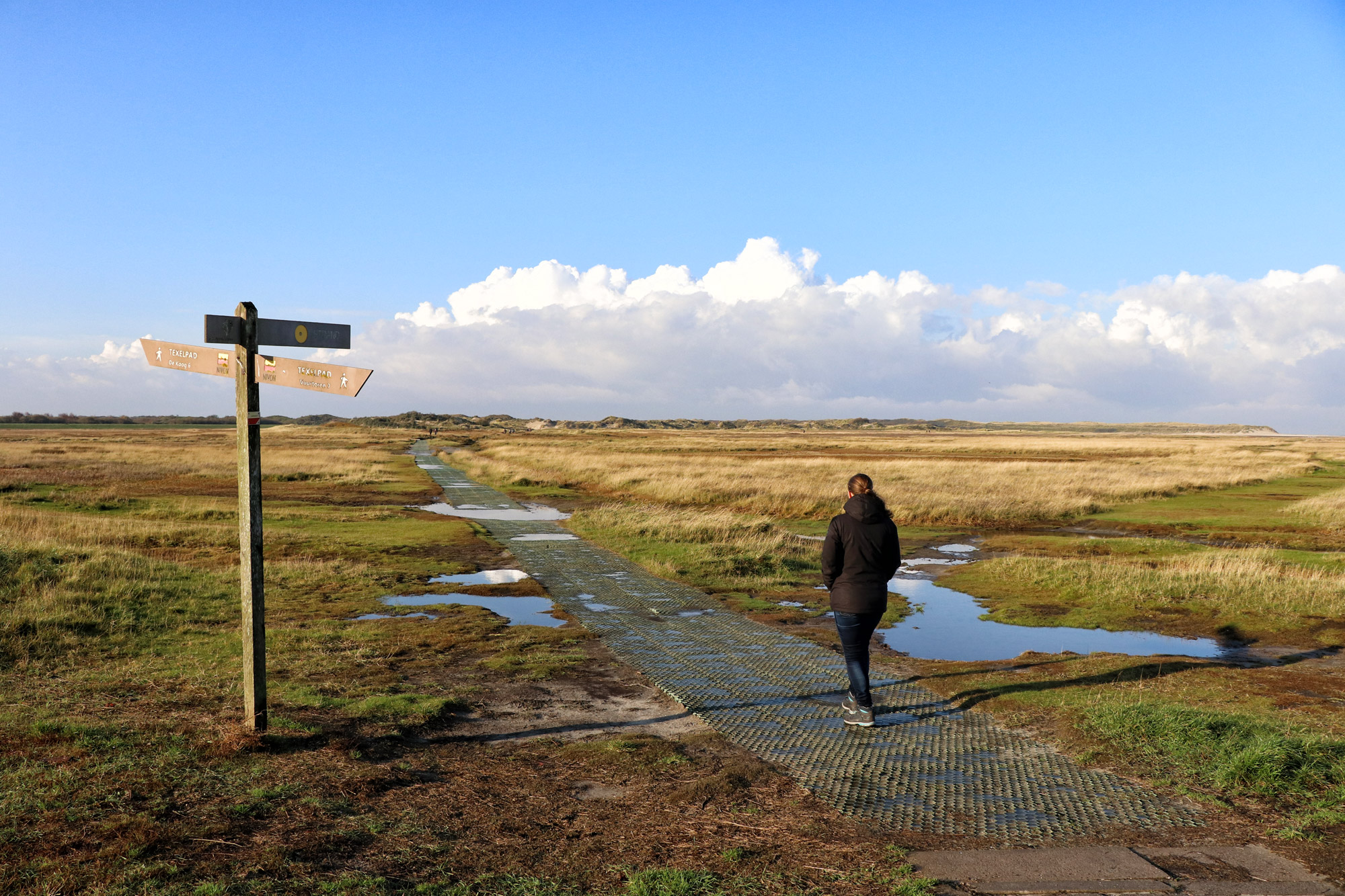 Texel - De Slufter