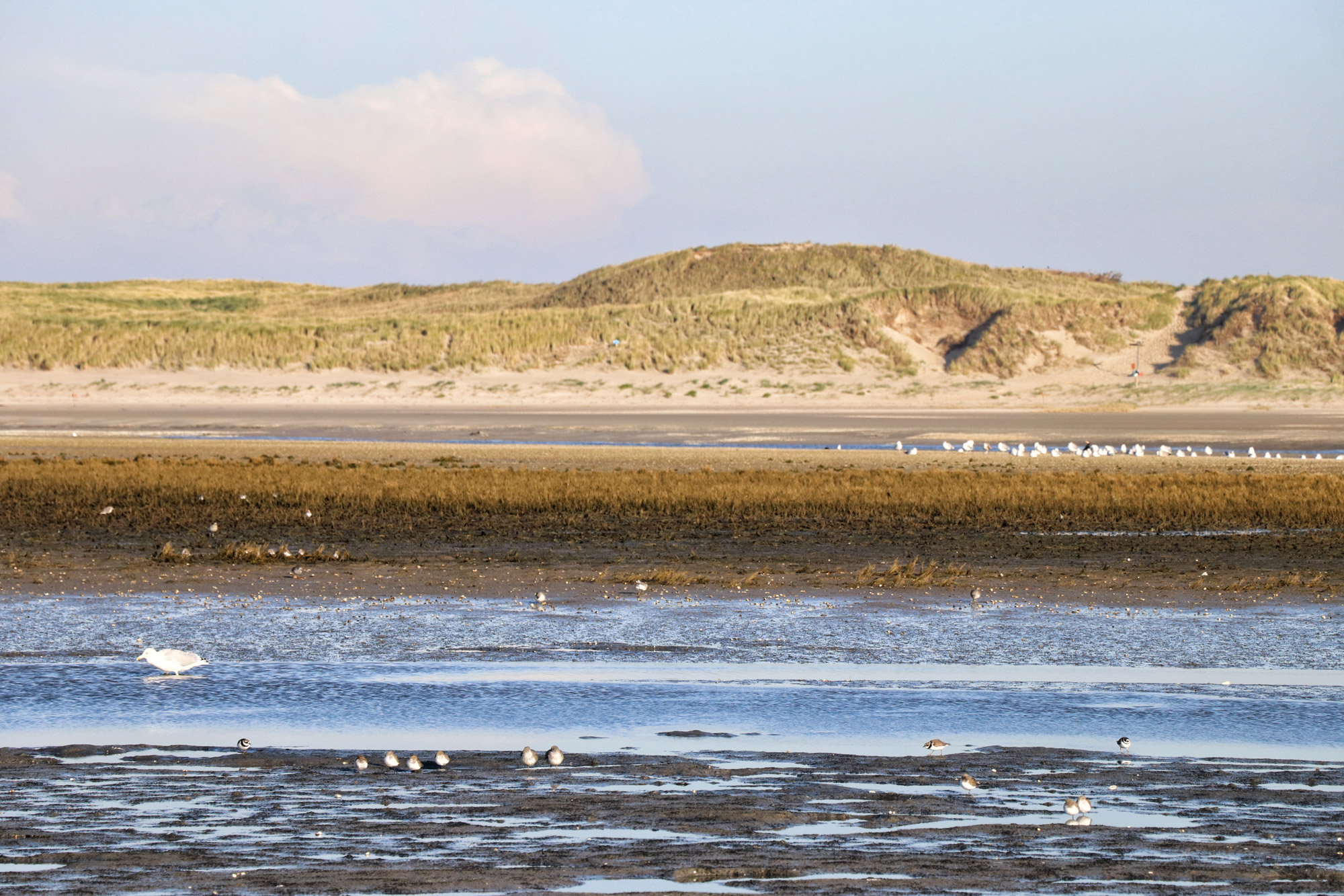 Texel - De Slufter