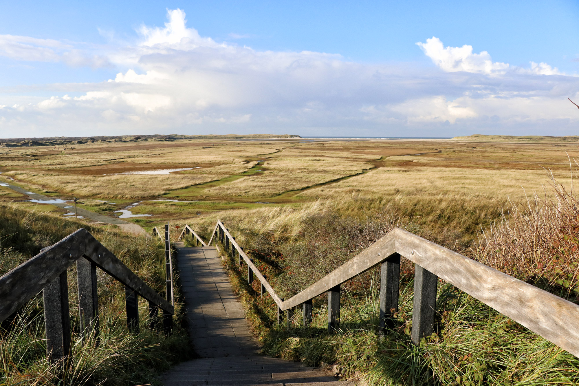 Texel - De Slufter