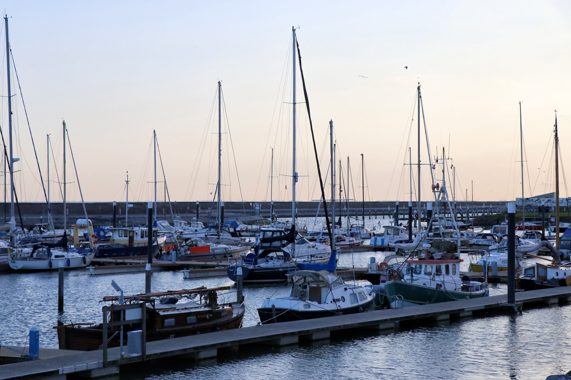 Texel - Haven van Oudeschild