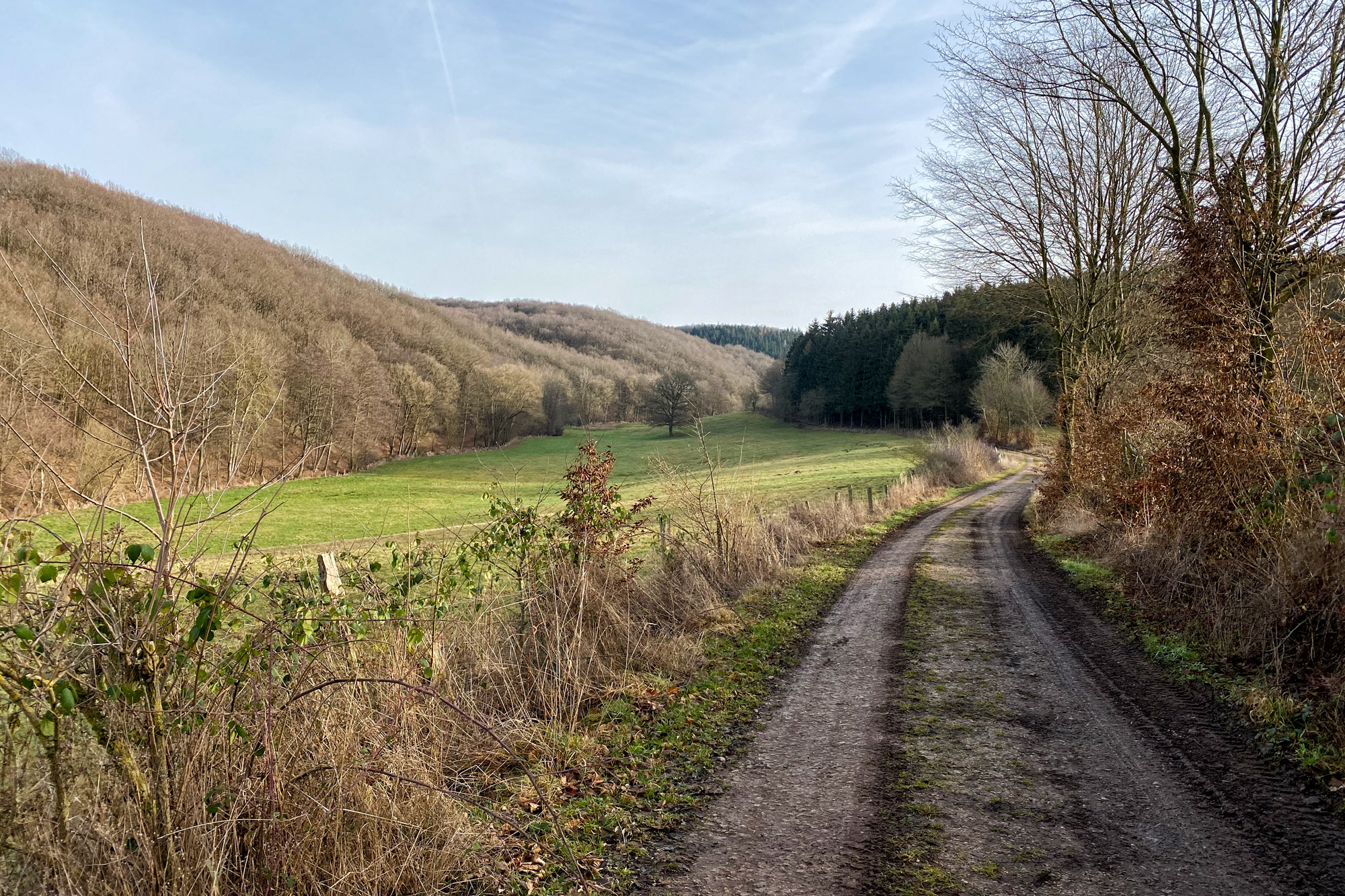 Bad Münstereifel - Eifeler Kräuterpfad