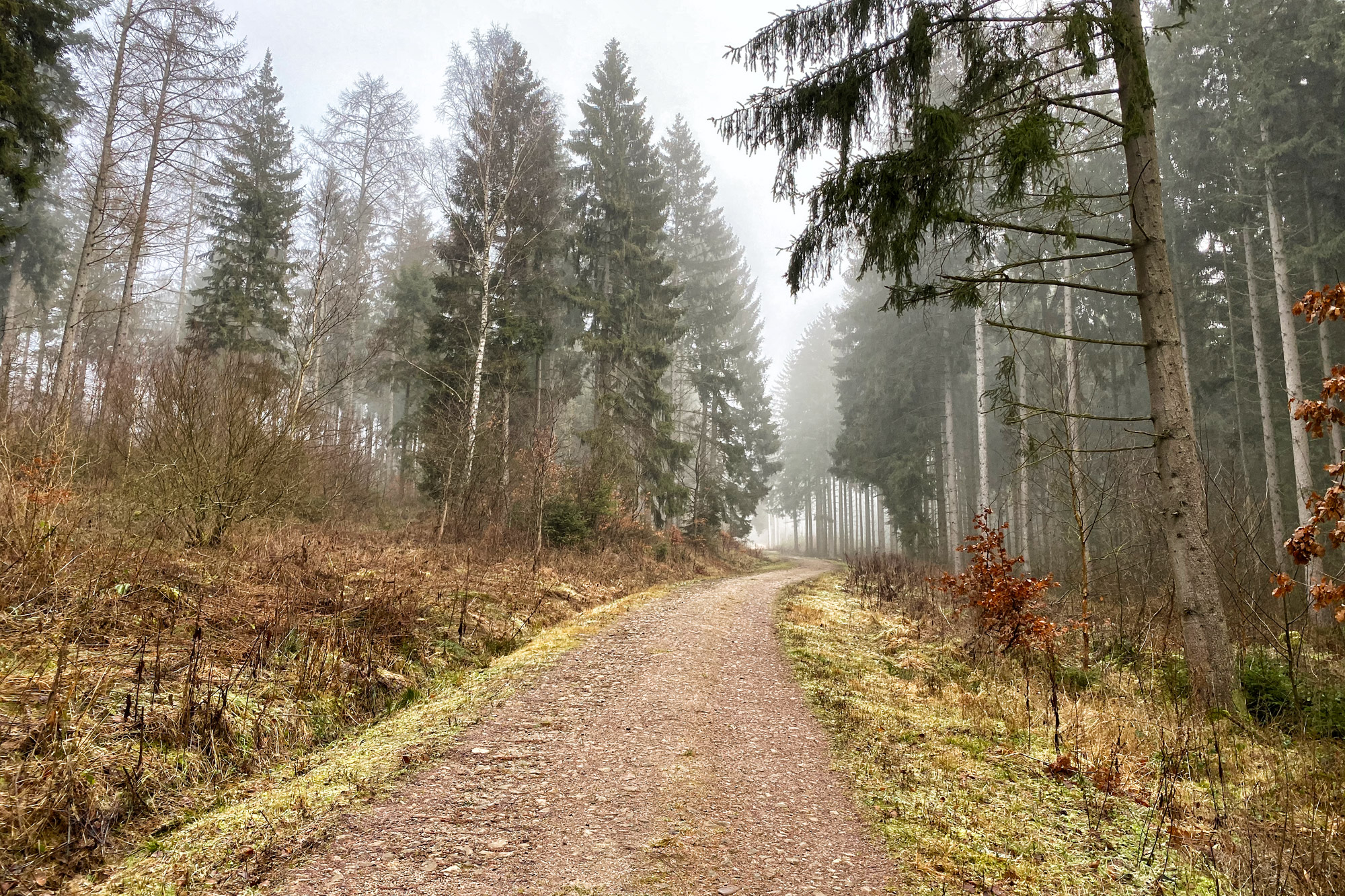 Bad Münstereifel - Eifeler Kräuterpfad