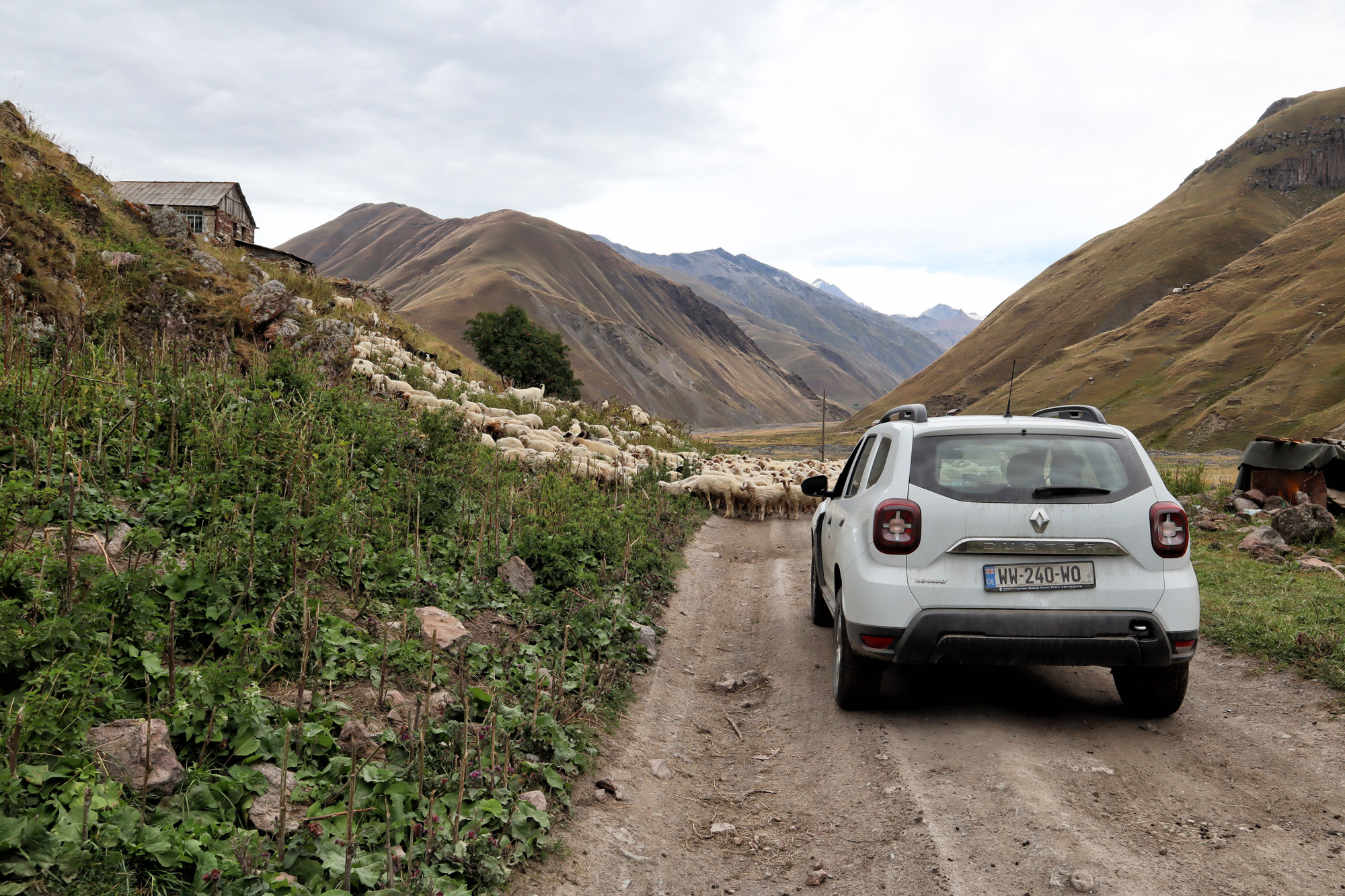 Kosten Georgië - Auto huren in Georgië