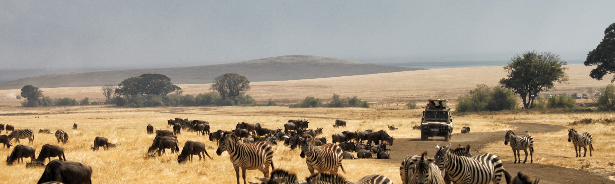 UNESCO Werelderfgoedlijst - Ngorongoro krater - Tanzania