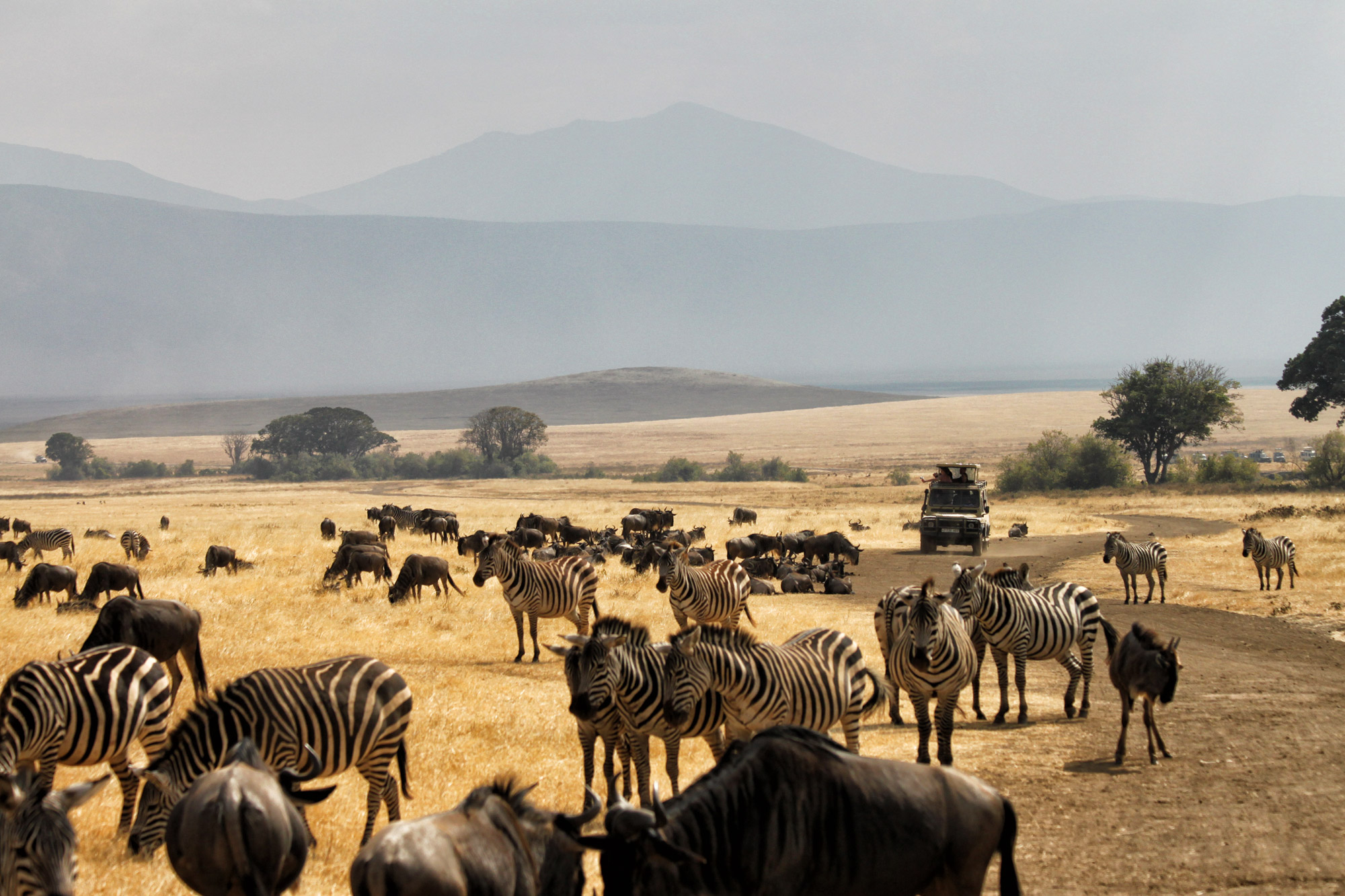 UNESCO Werelderfgoedlijst - Ngorongoro krater - Tanzania