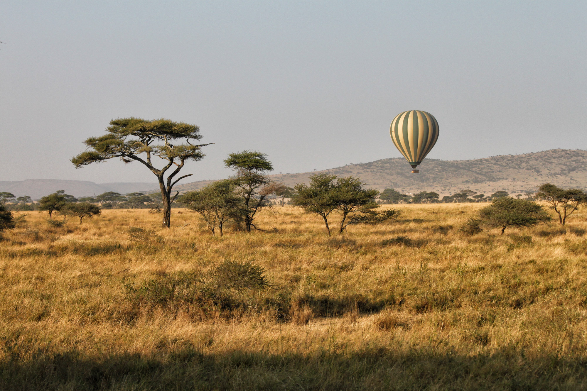 UNESCO Werelderfgoedlijst - Serengeti - Tanzania