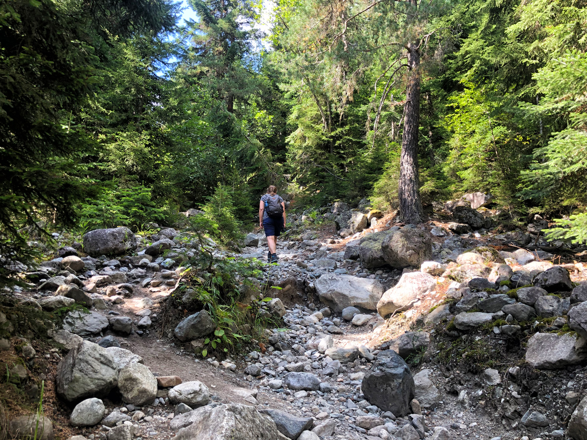 Wandeling in Georgië - Hike naar de Chalaadi Gletsjer