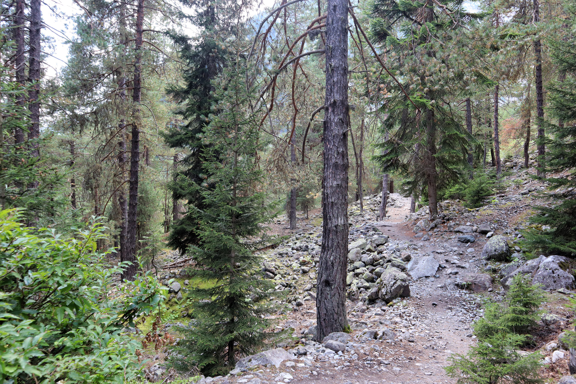 Wandeling in Georgië - Hike naar de Chalaadi Gletsjer