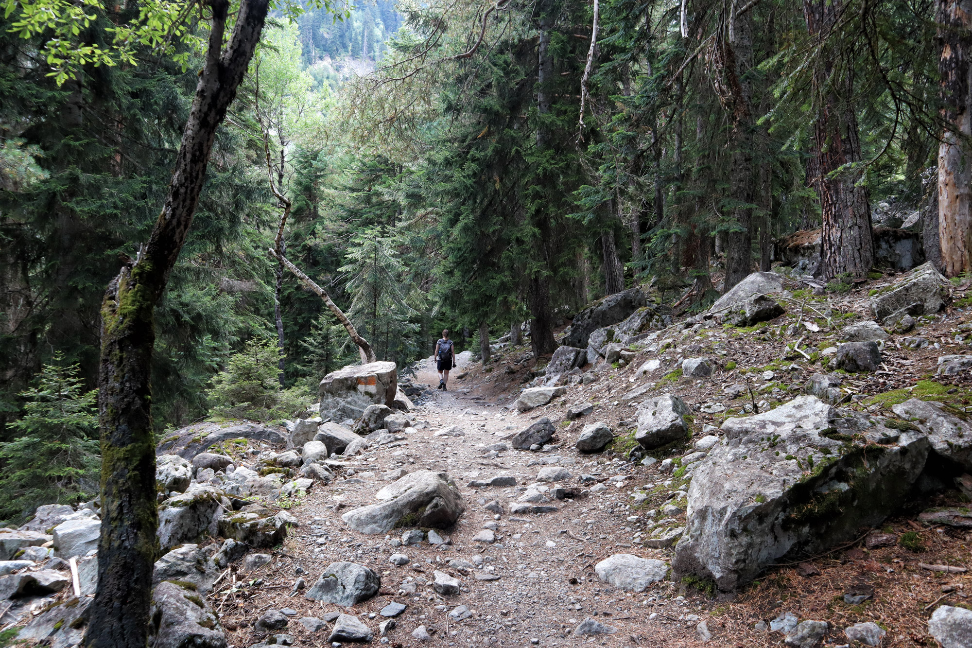 Wandeling in Georgië - Hike naar de Chalaadi Gletsjer