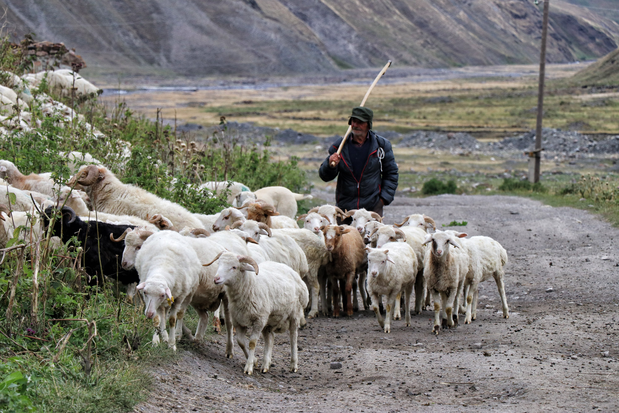 Wandeling: Truso Vallei in Georgië