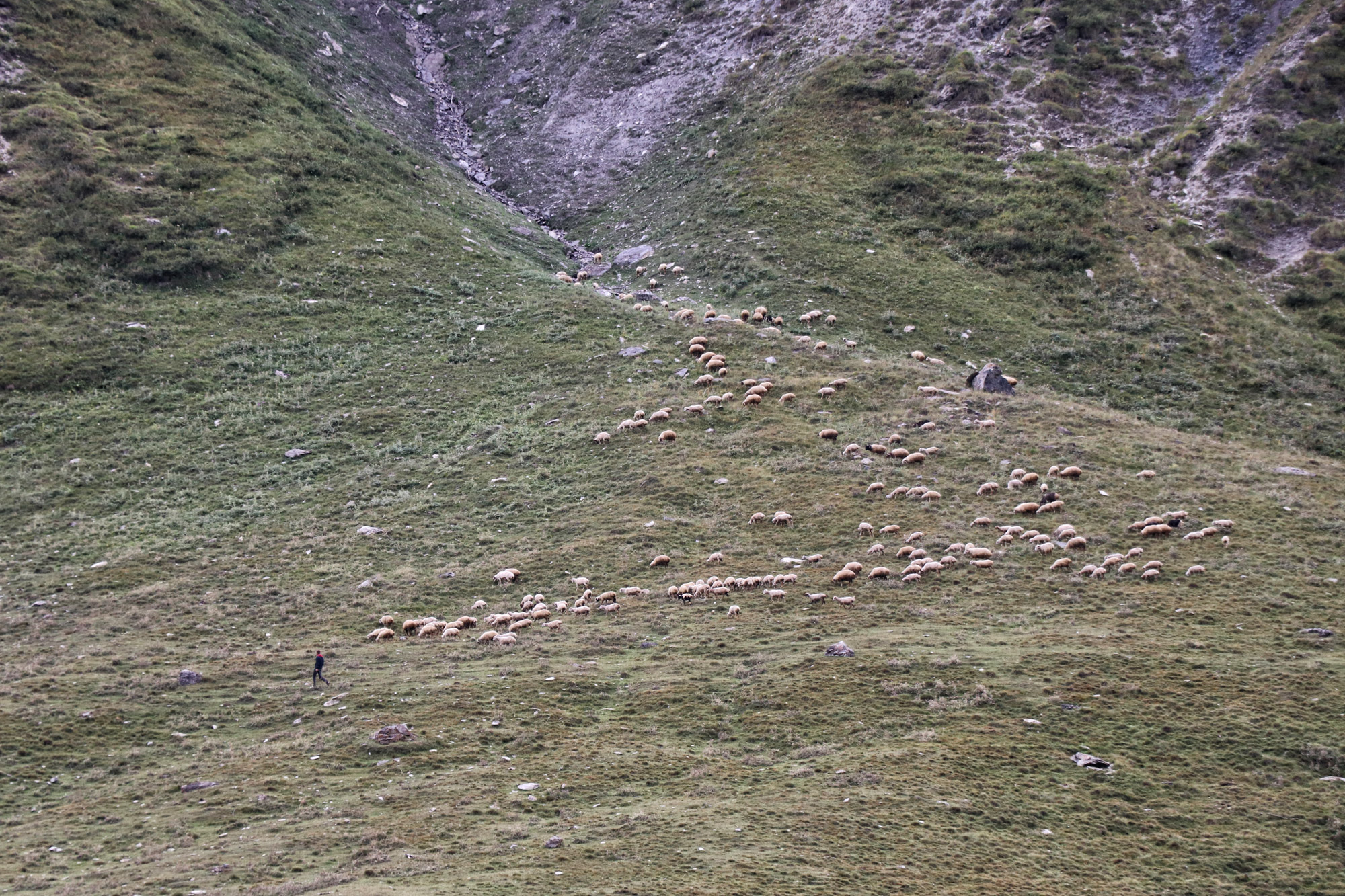 Wandeling: Truso Vallei in Georgië