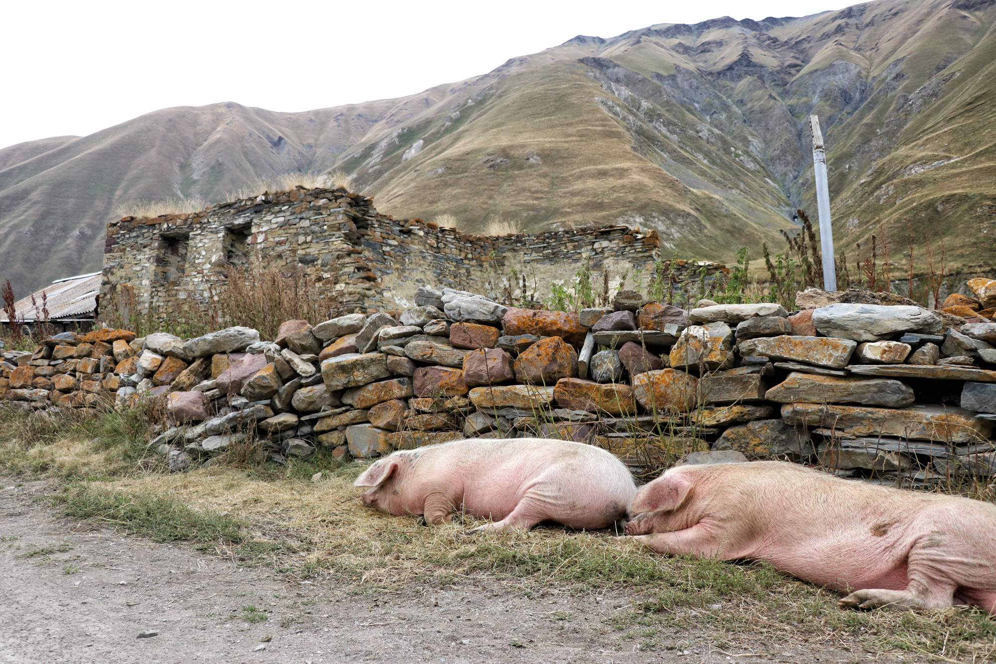 Wandeling: Truso Vallei in Georgië