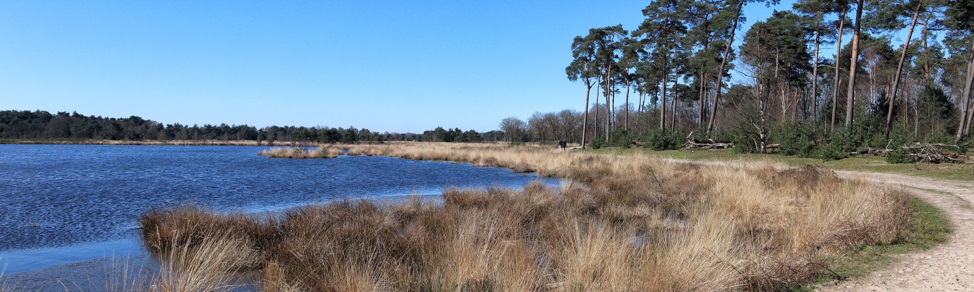 Foto van de maand: Maart 2020 - Kampina