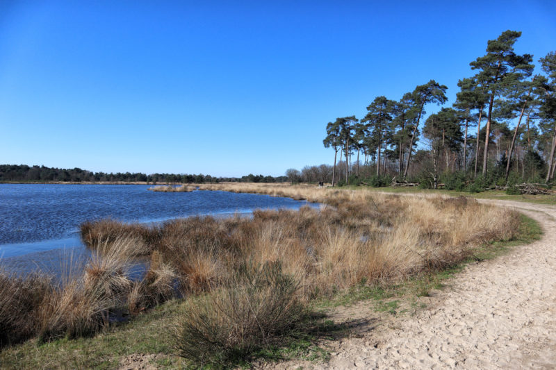 Foto van de maand: Maart 2020 - Kampina