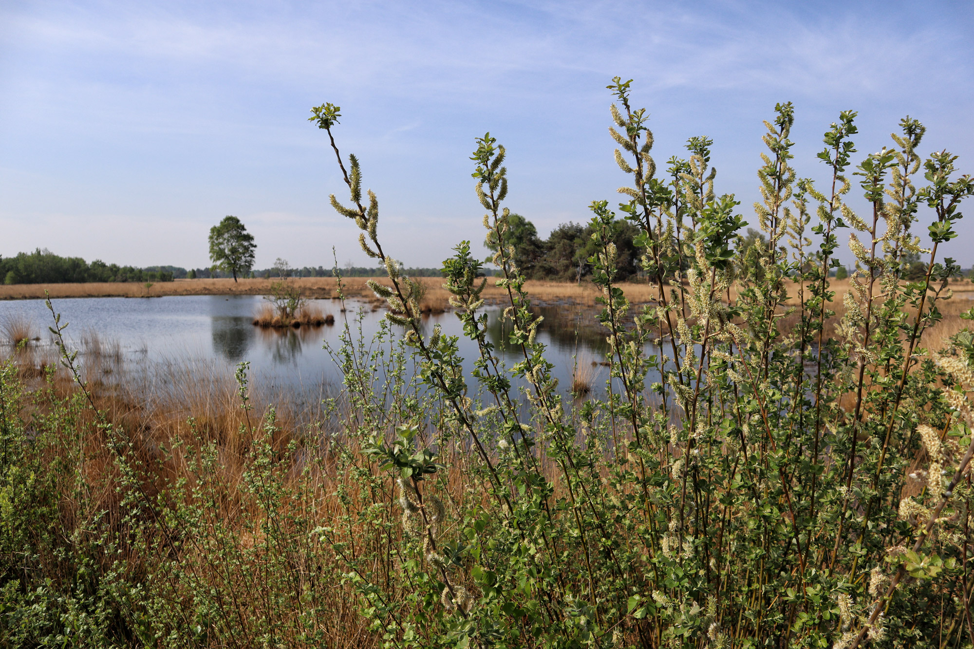 Trage Tocht Netersel