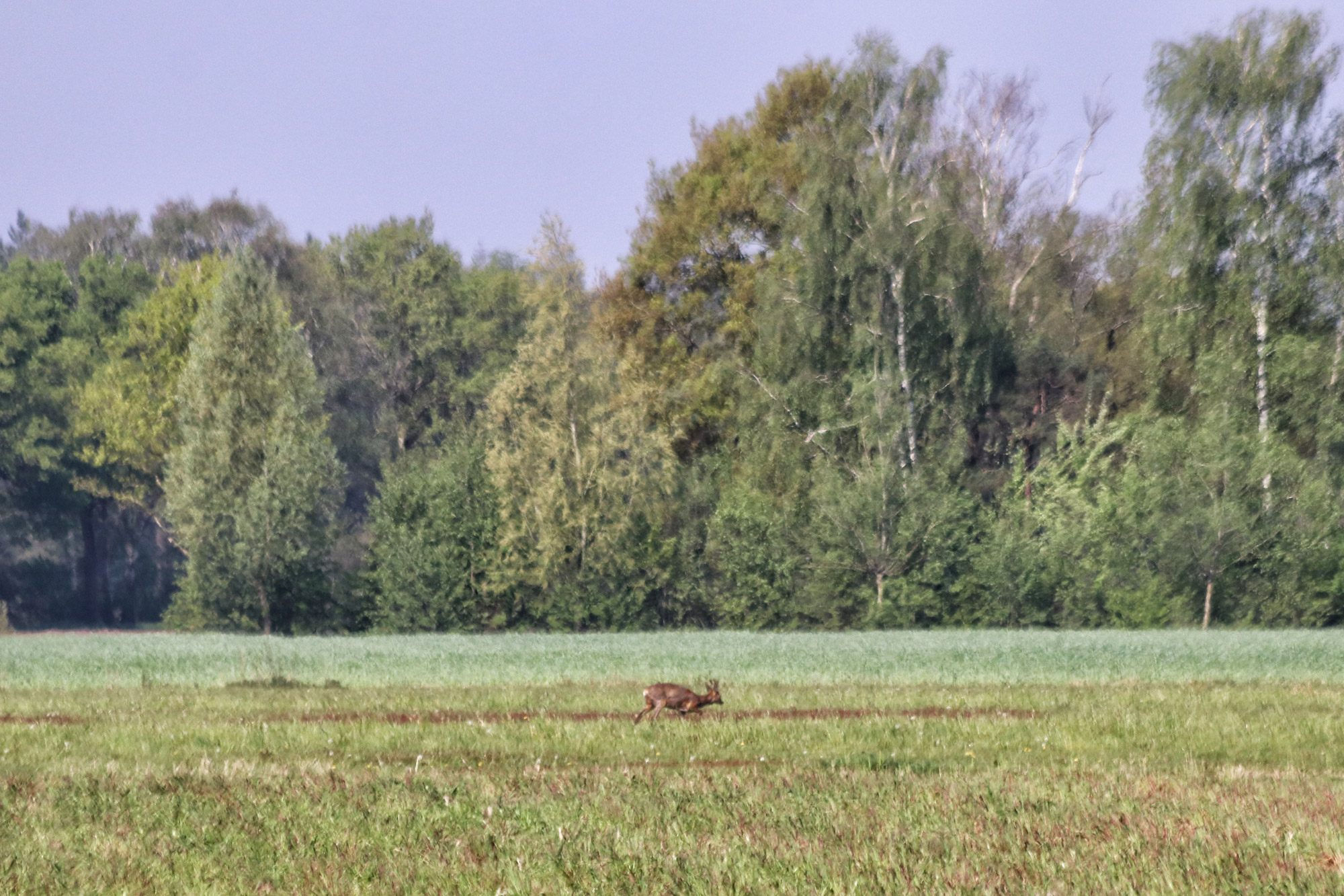 Trage Tocht Netersel